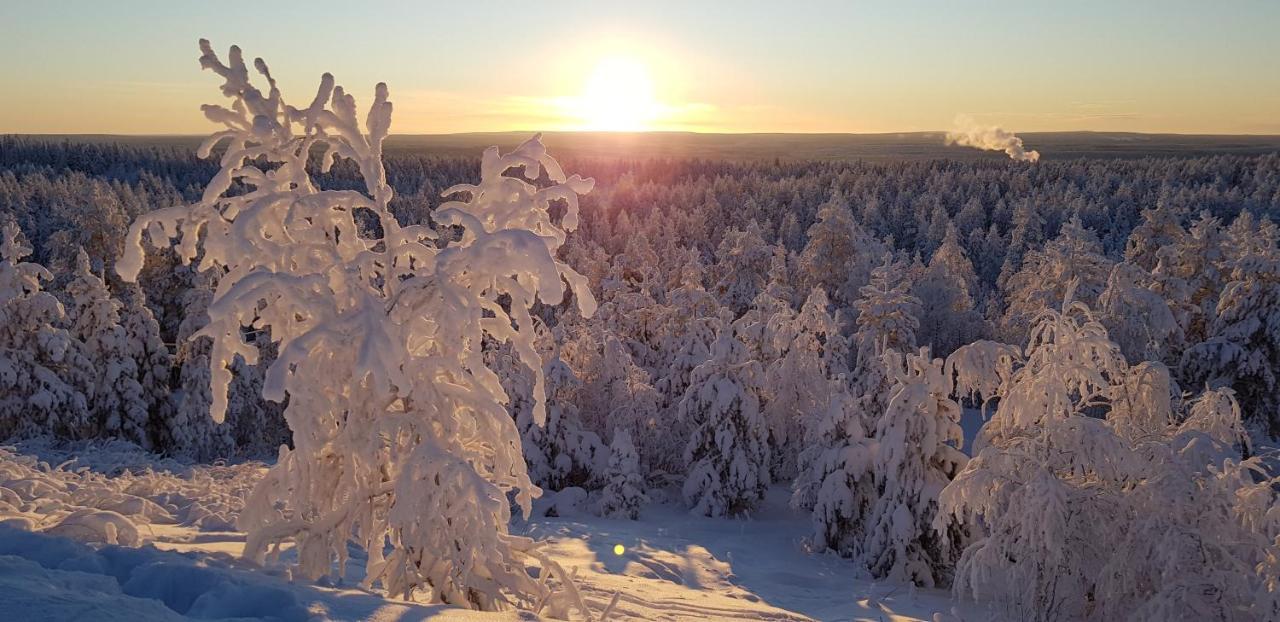 Villaski Rovaniemi Extérieur photo